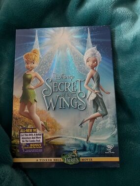Disney DVD — Blue and Teal Illustrated Fairy Movie Cover